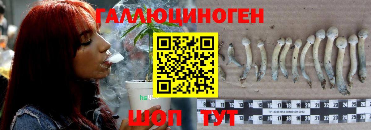 Псилоцибиновые грибы мухоморы Сургут